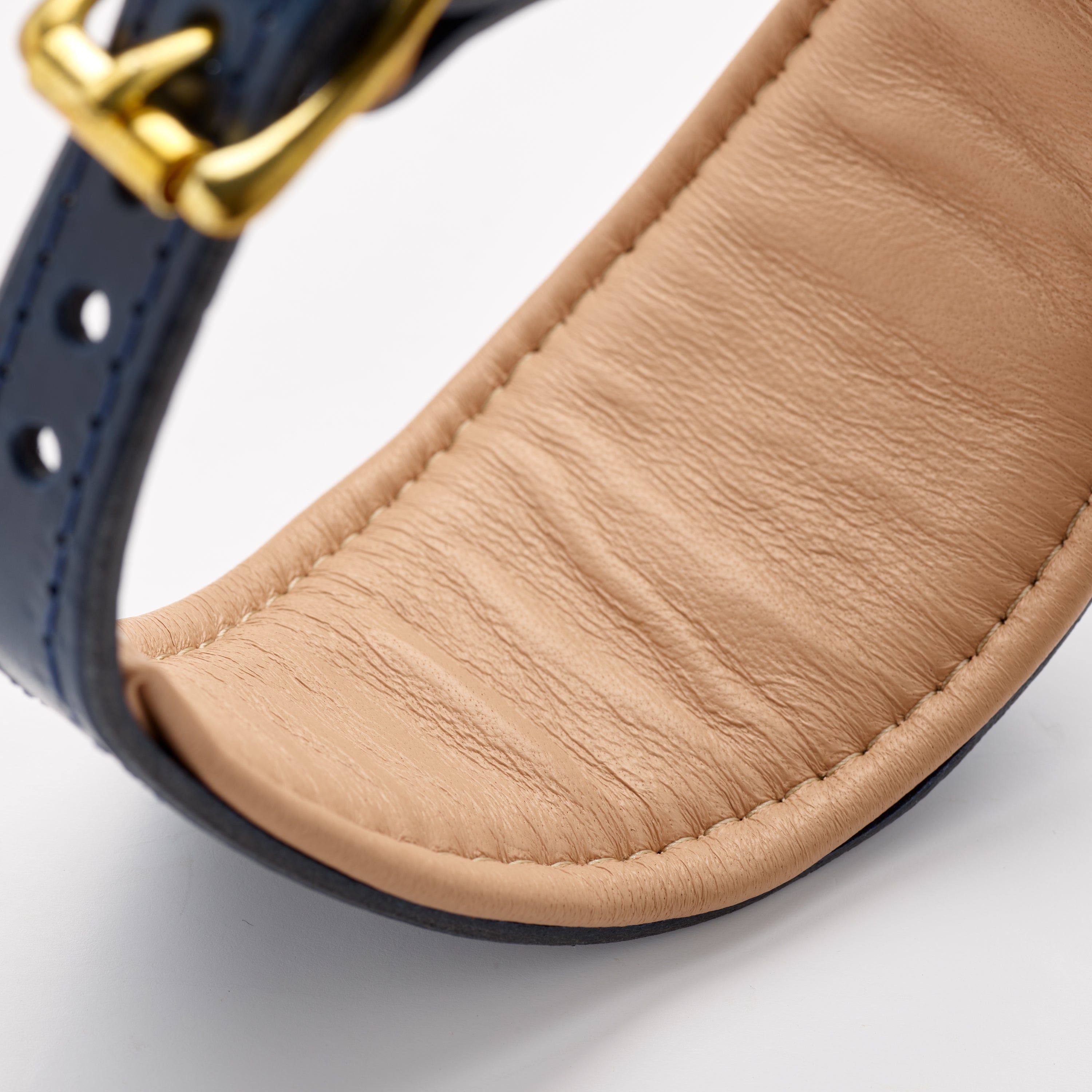 Storeys & Tails Regal Blue Sight Hound Collar