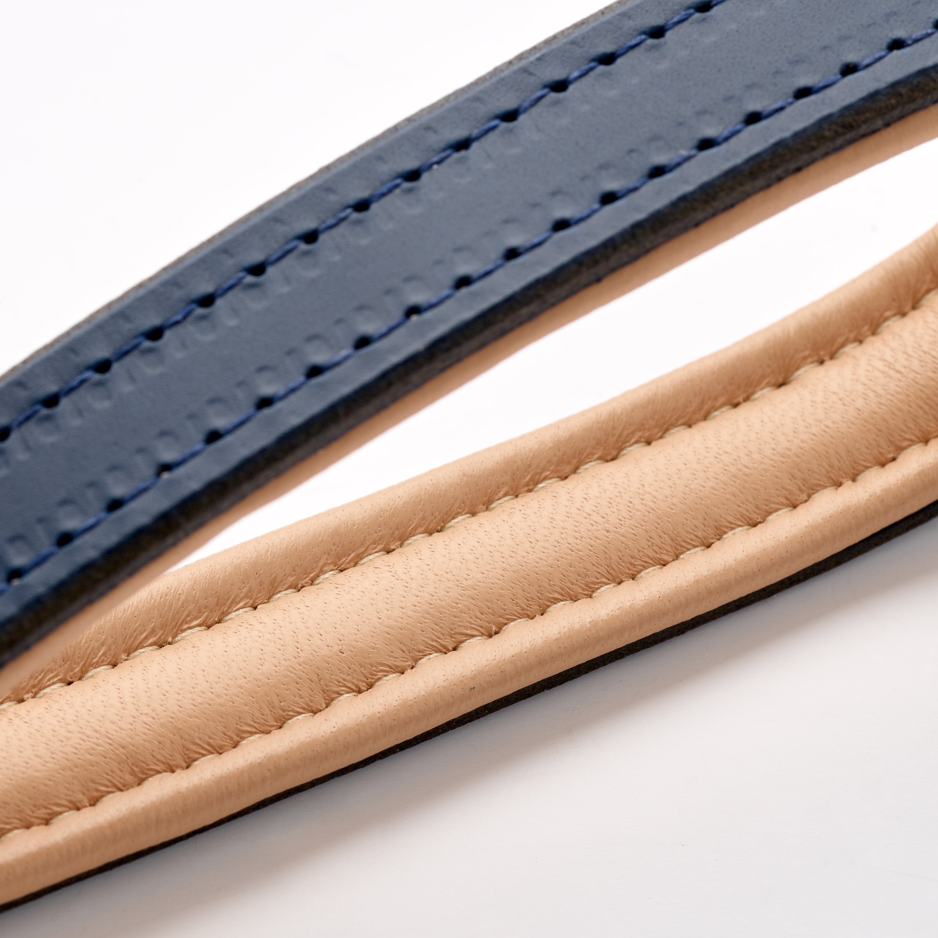 Storeys & Tails Regal Blue Lead