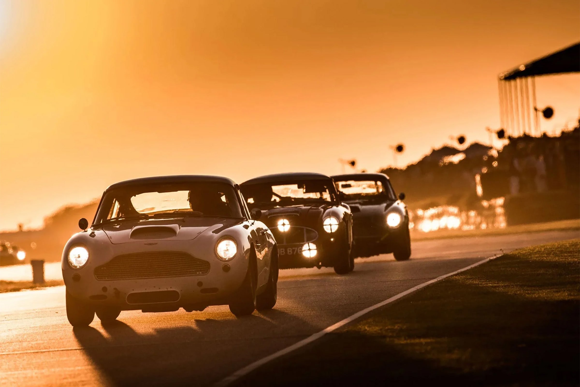The Merchant Fox : At Goodwood Revival