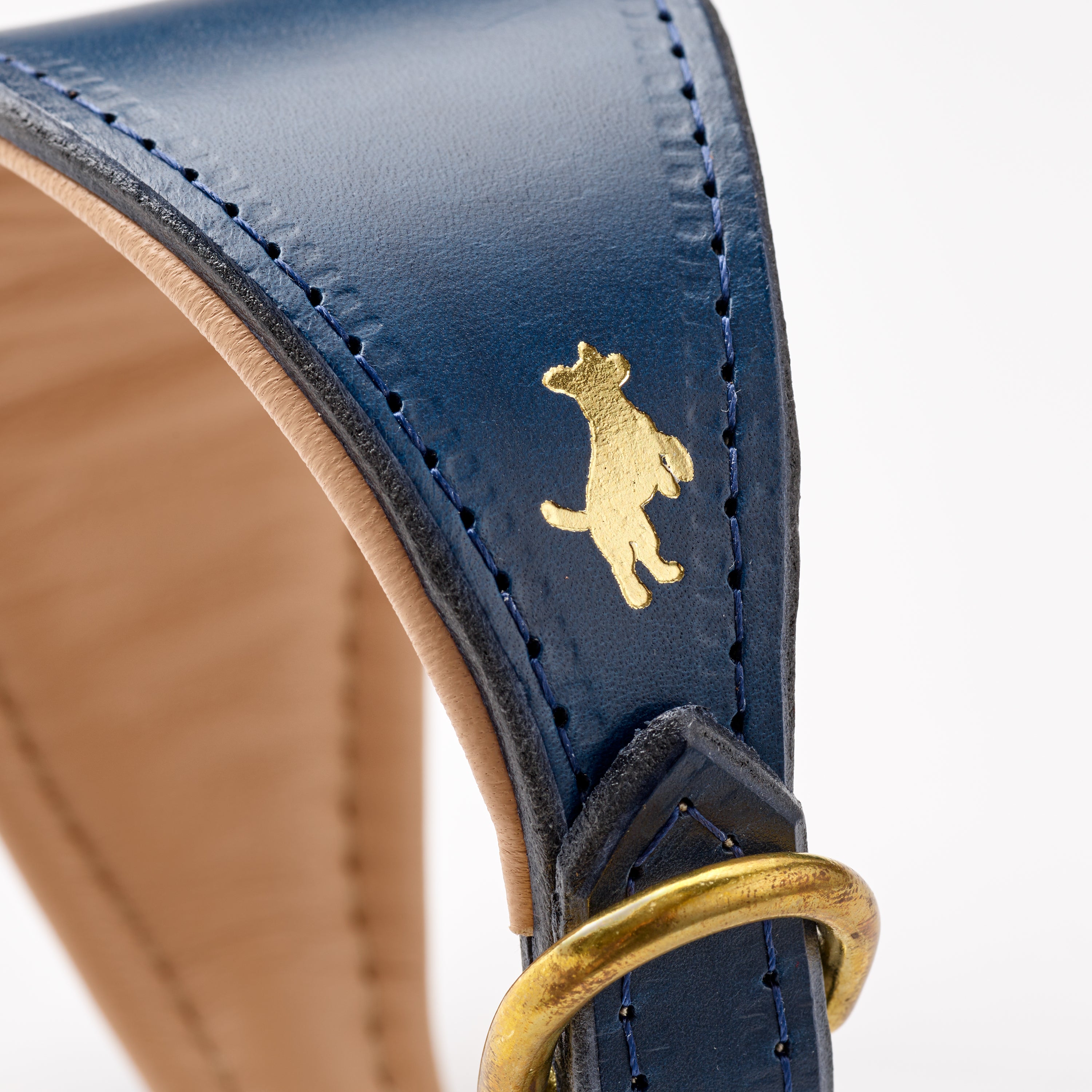 Storeys & Tails Regal Blue Sight Hound Collar