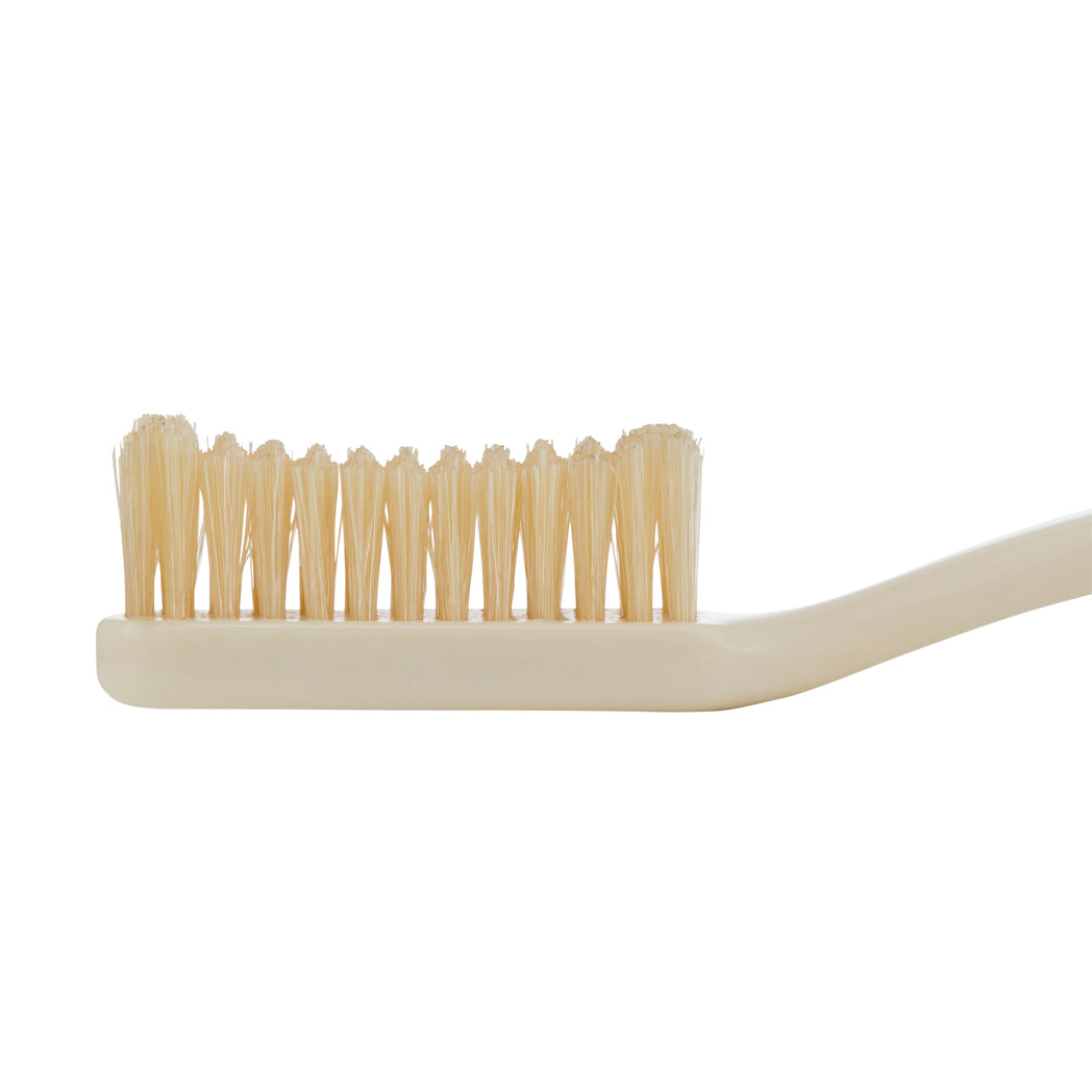 Head of Medium bristle Toothbrush