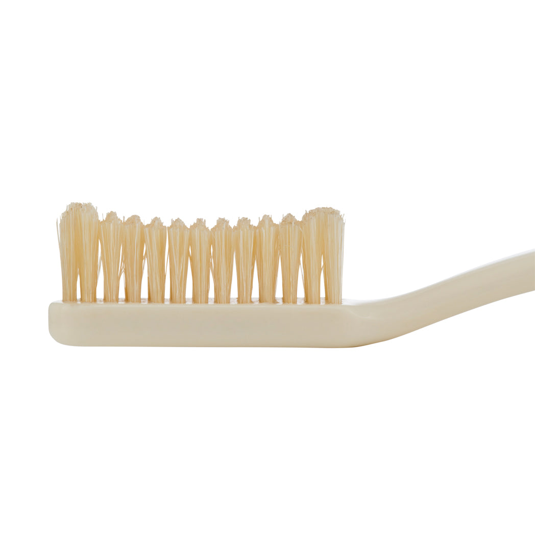 Head of Soft bristle Toothbrush