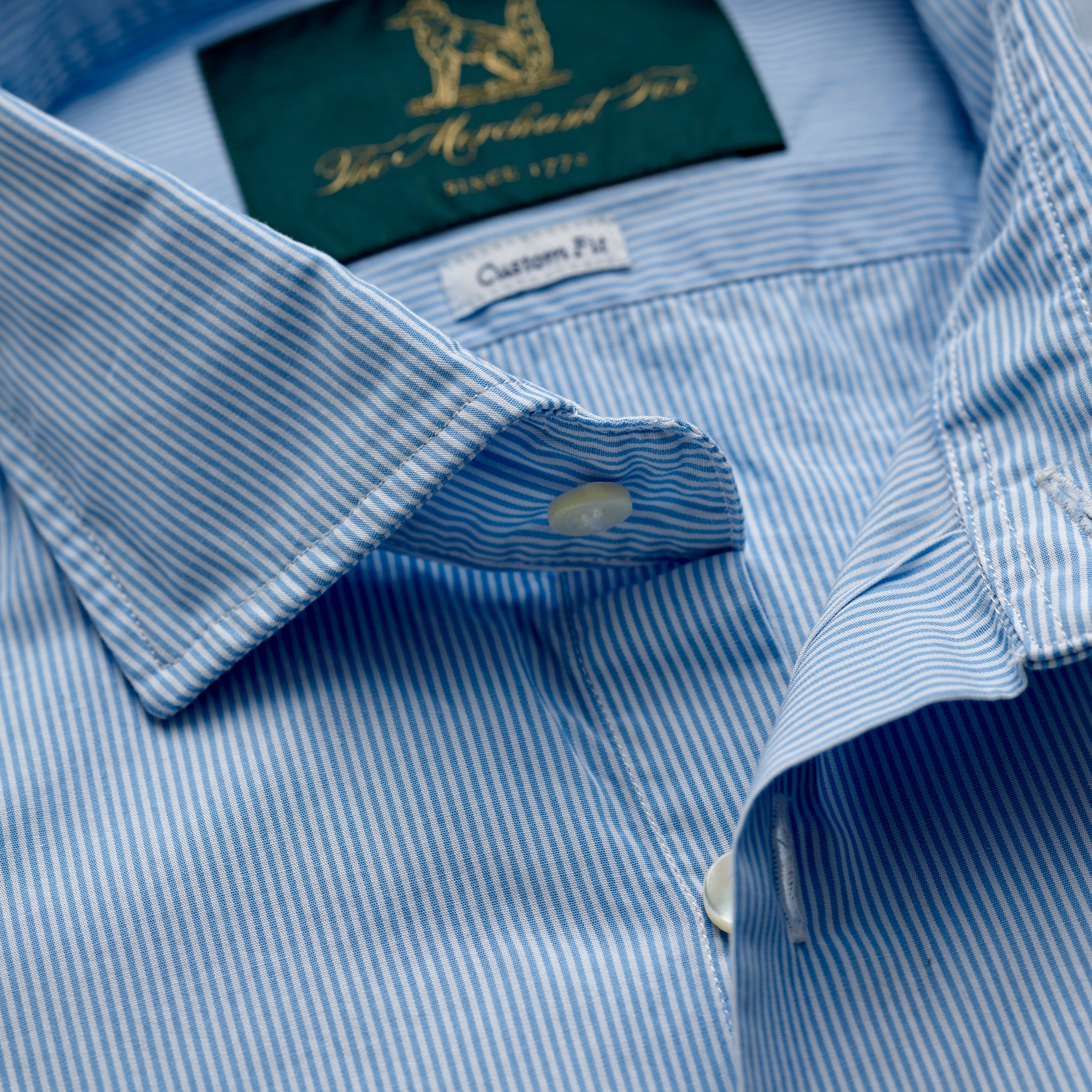 Spread Collar Cotton Shirt in White & Light Blue Thin Stripes